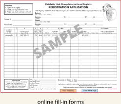 online fill-in forms SAMPLE