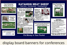 display board banners for conferences SAMPLE